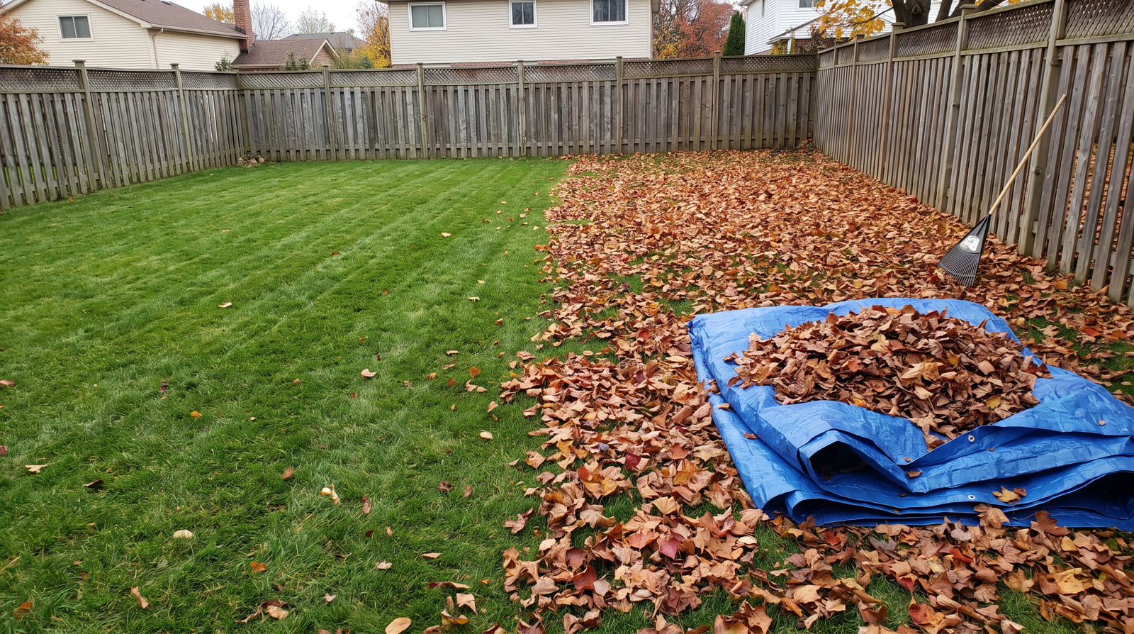 Seasonal Cleanups — Eagle Revolution Landscaping